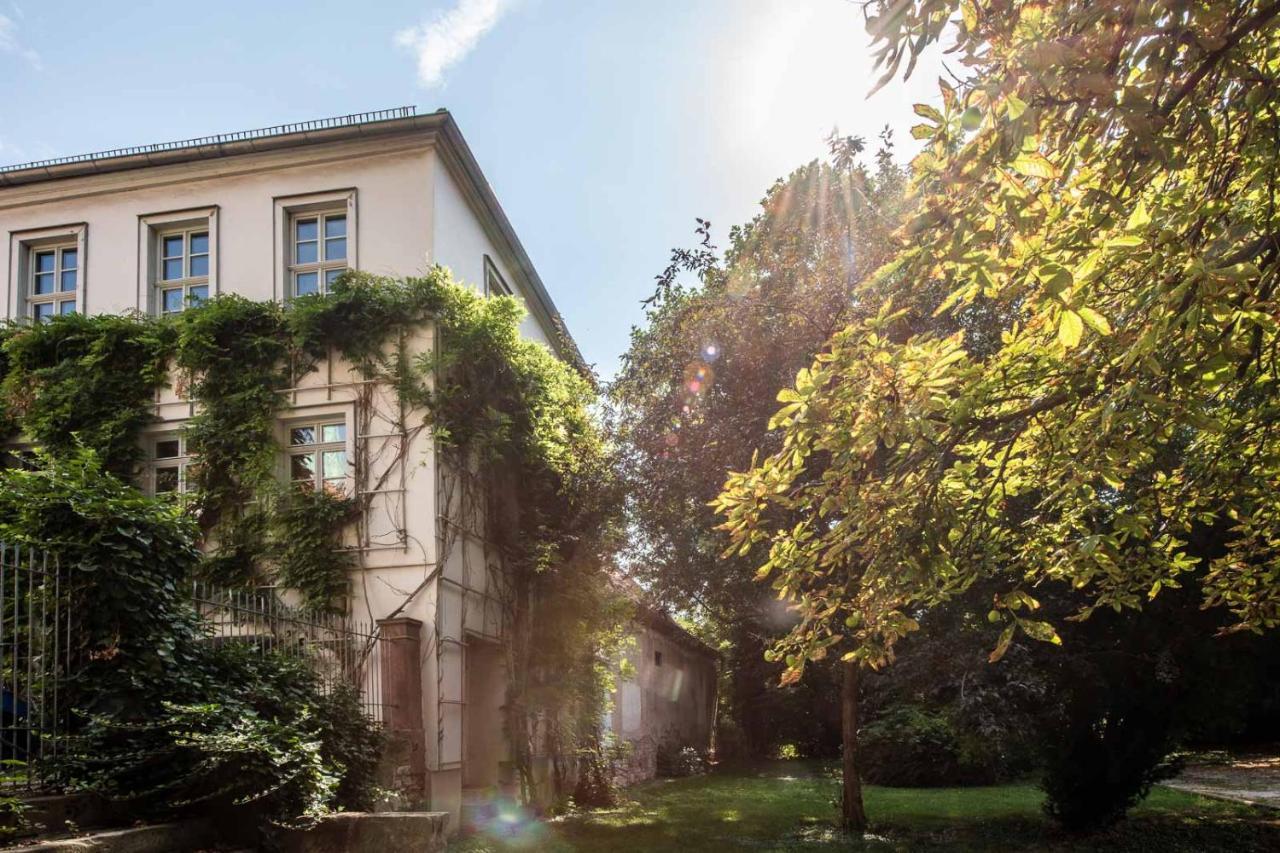 Ferienwohnung Am Dom Naumburg  Eksteriør billede
